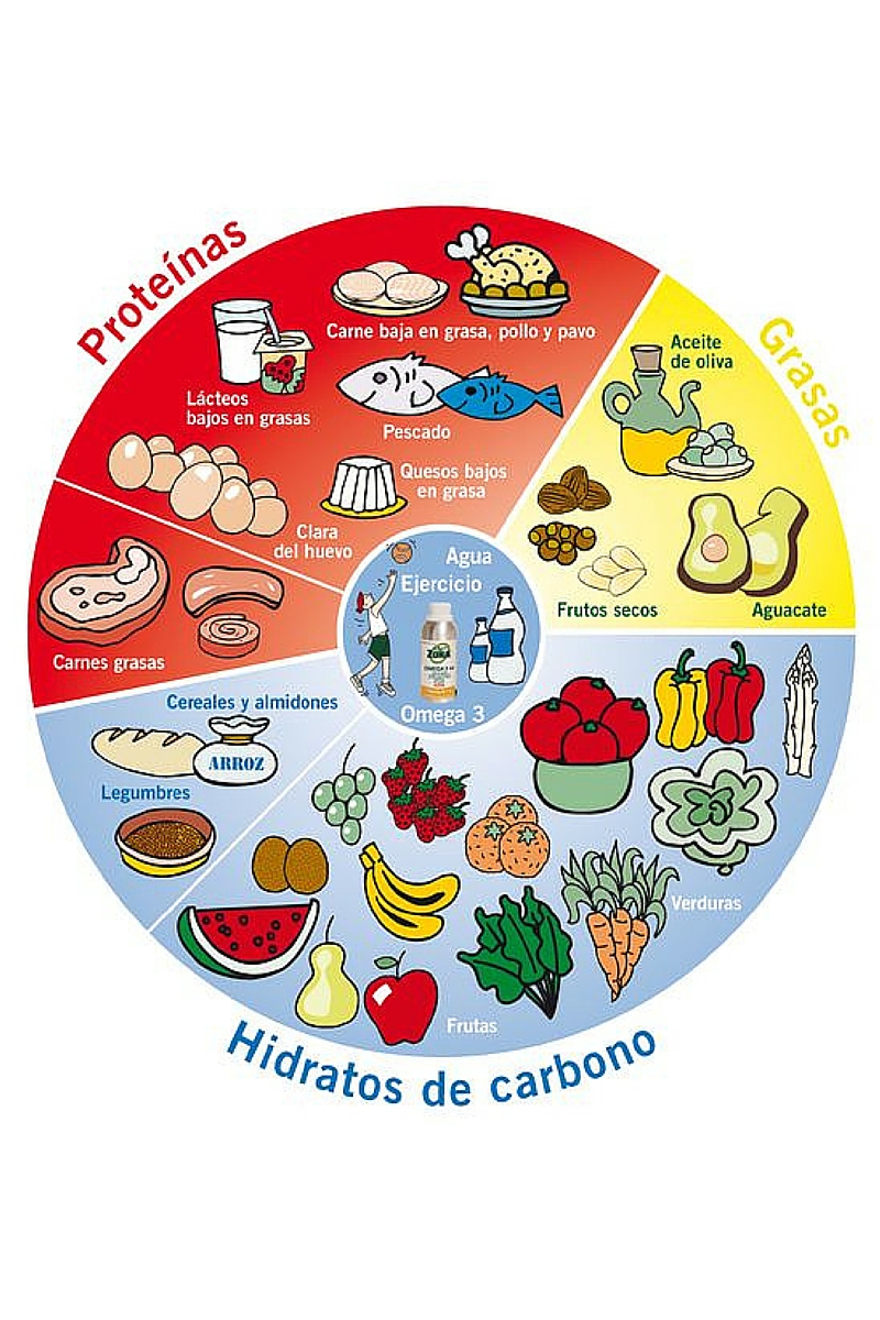 DraBeatrizBeltrán_dieta_delazona_medicinaestética_nutrición
